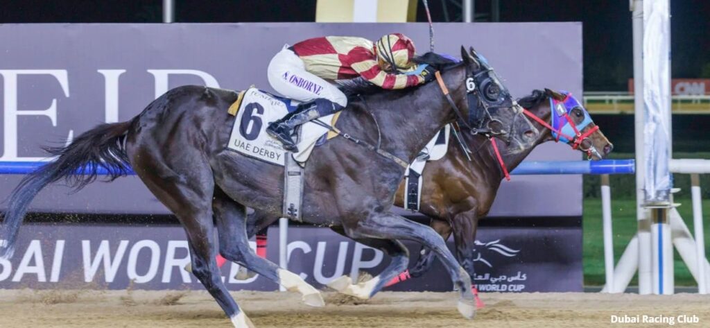 belmont stakes 2025 horses list pictures