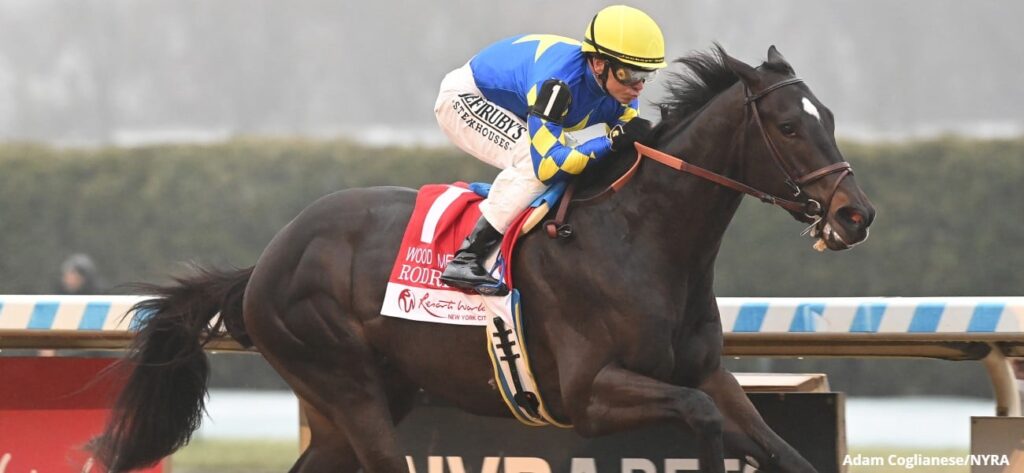 belmont stakes 2025 horses list pictures