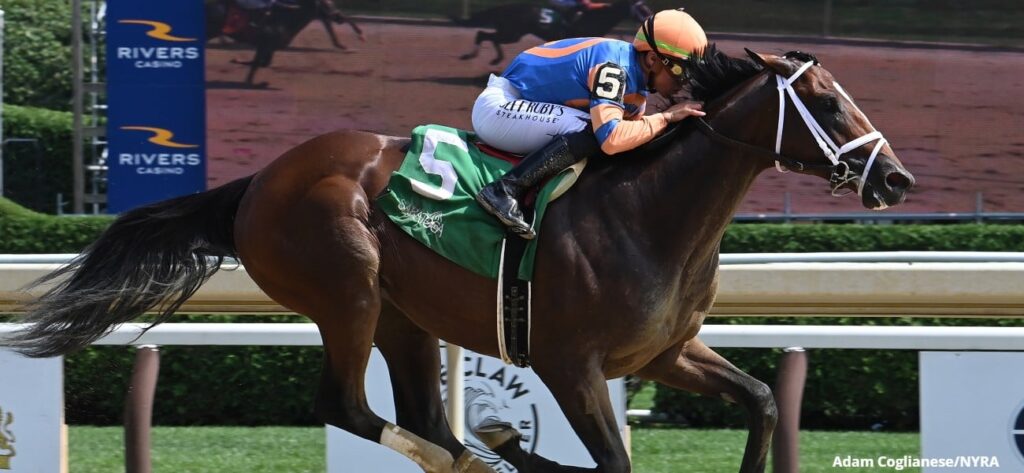 belmont stakes 2025 horses list pictures